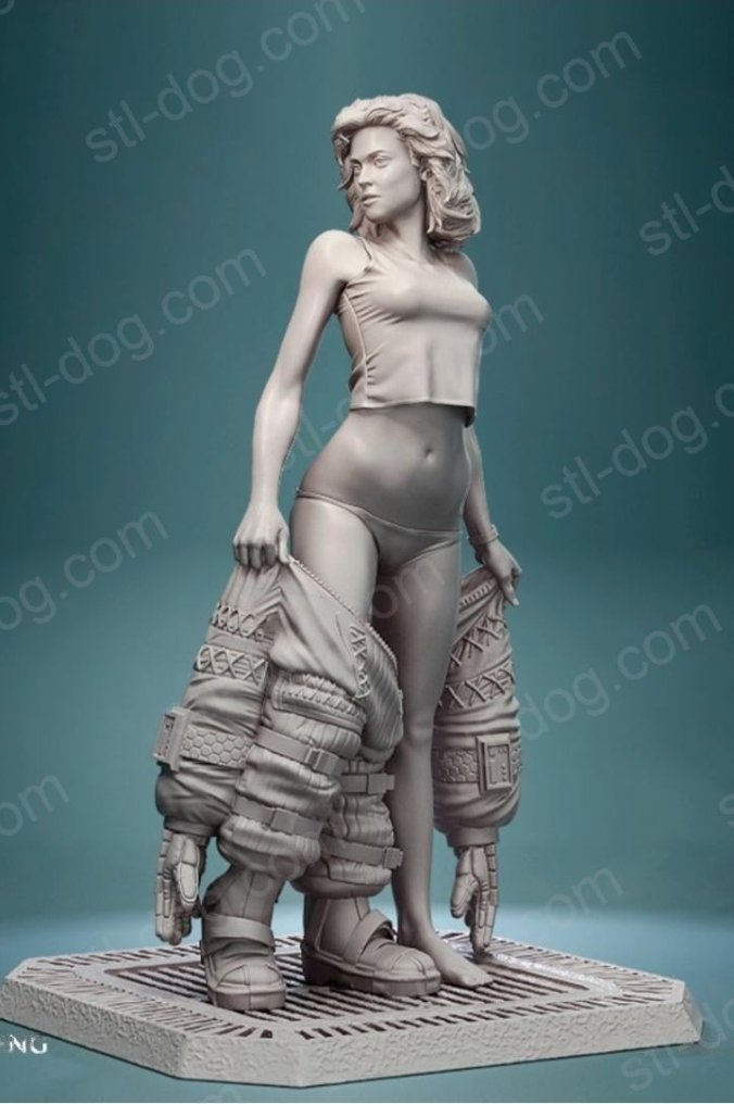 Ripley 内衣 3D打印图纸